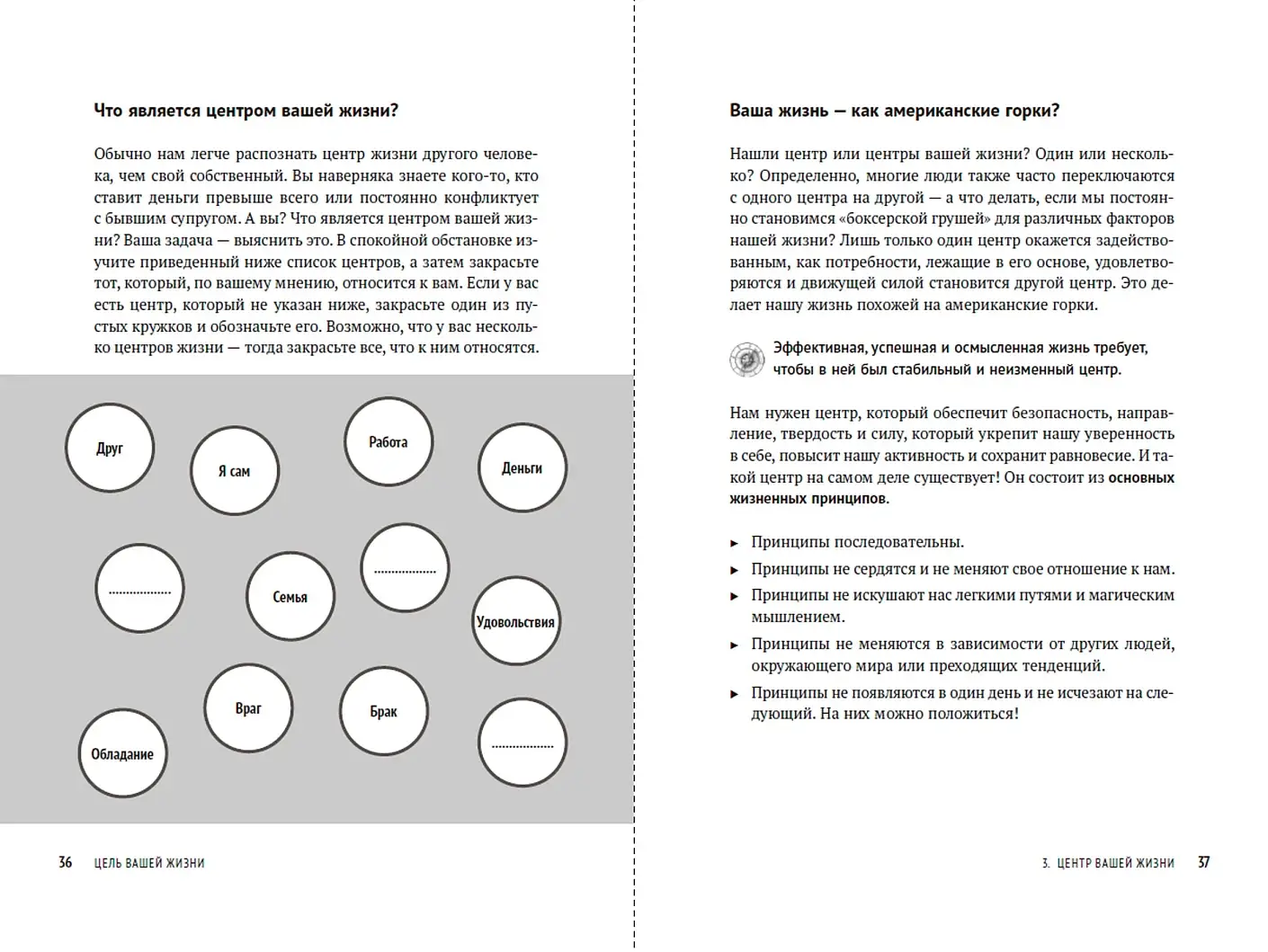 Цель вашей жизни. Как обрести мечту и не сбиться с пути фото книги 3