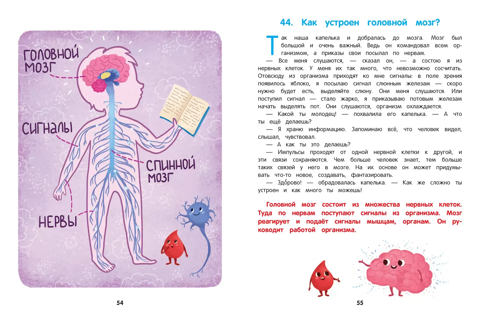 Как устроен человек. Энциклопедия для малышей в сказках фото книги 5