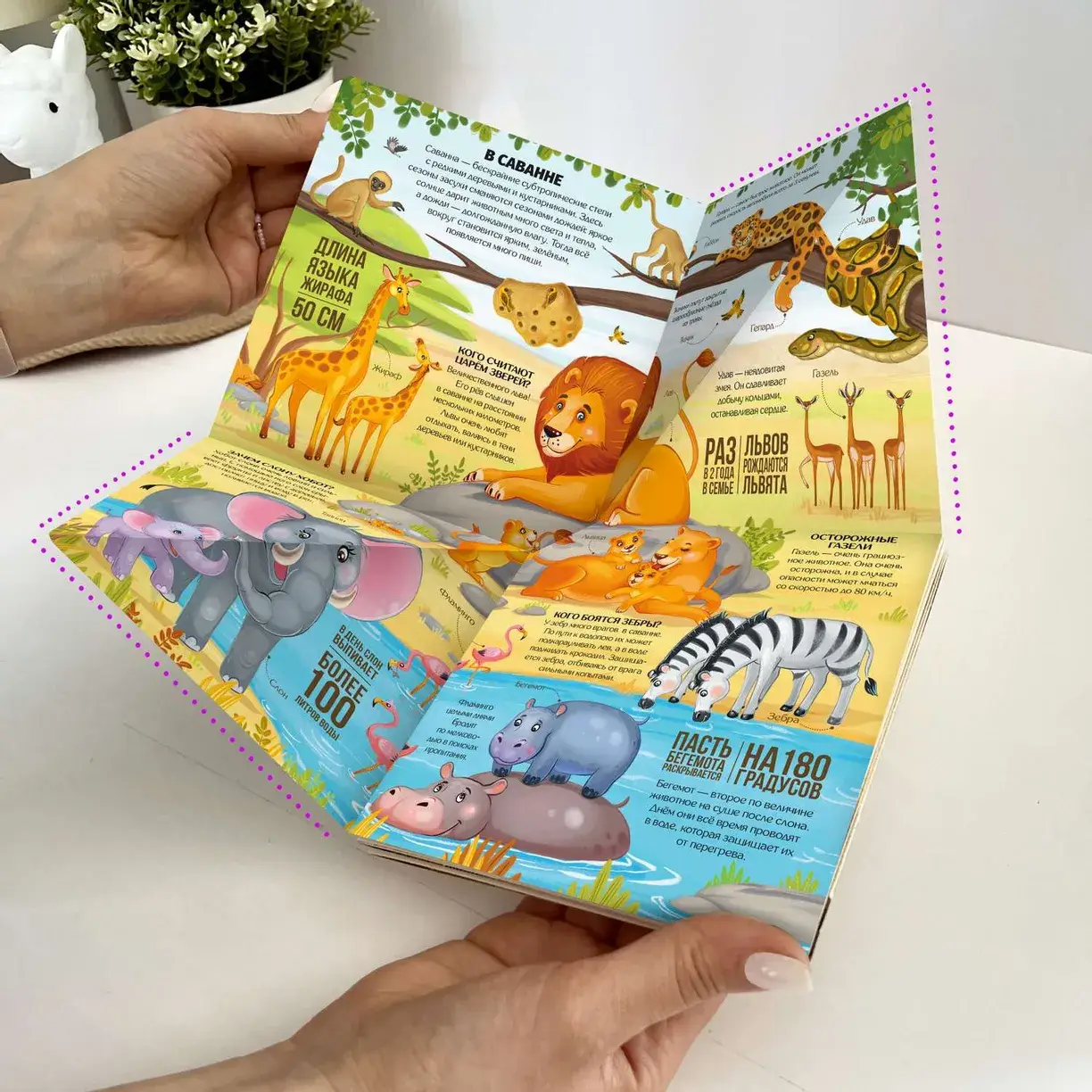 Транспорт. Книжка-трансформер фото книги 2