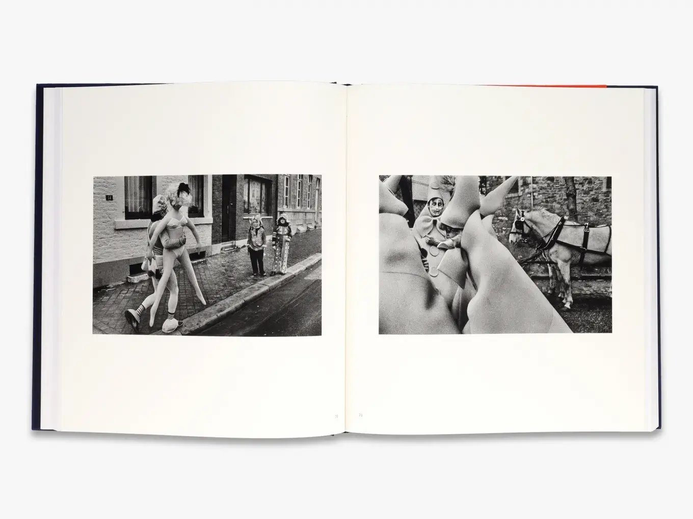 Harry Gruyaert: homeland фото книги 3