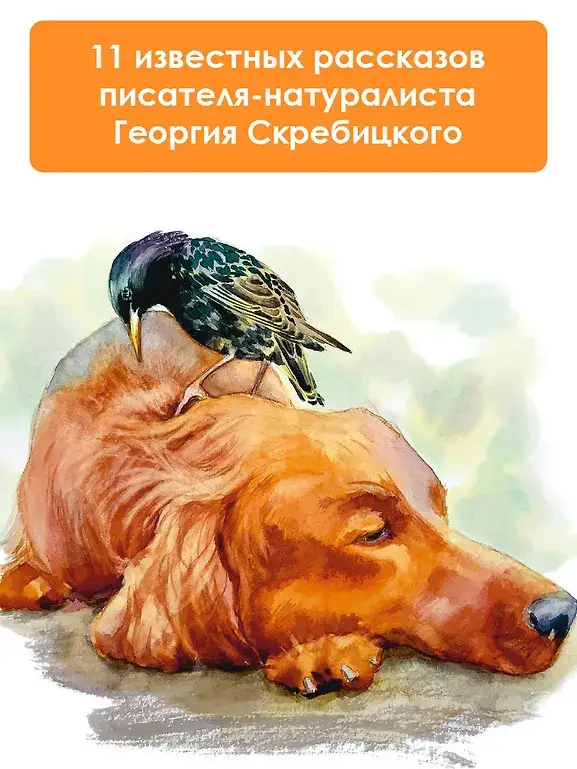 Зеленый шум. Рассказы фото книги 4