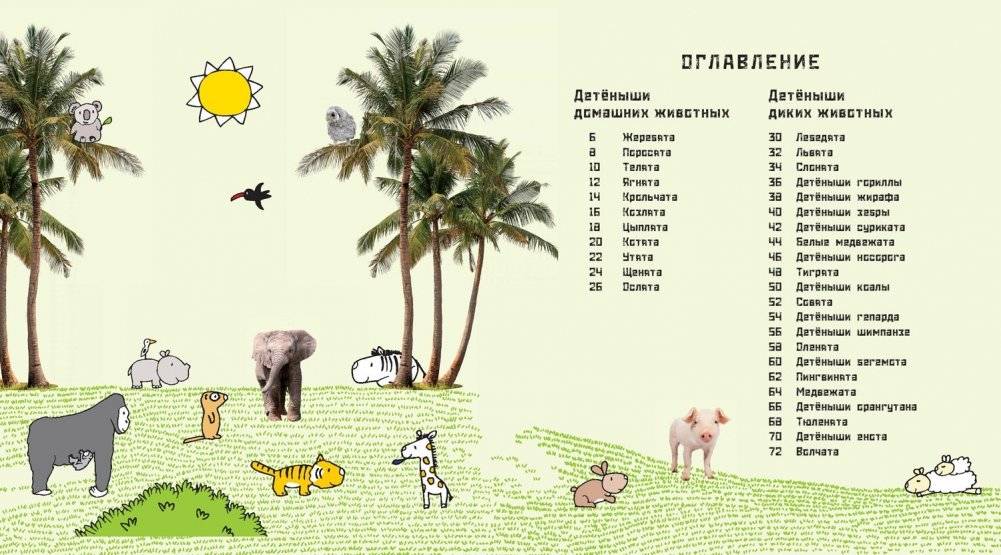 Это мой малыш! Детёныши разных животных фото книги 2