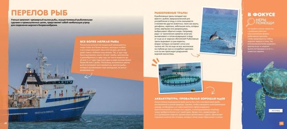 S.O.S. Красная книга фото книги 4