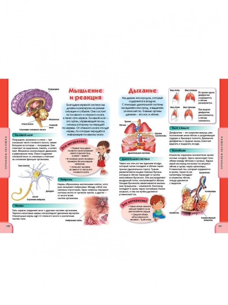 Детская энциклопедия для всезнаек от 6 до 12 лет фото книги 9