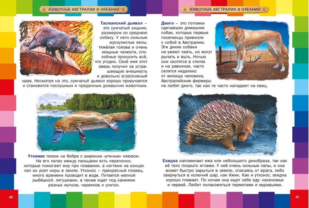 Животный мир для малышей. Детская энциклопедия фото книги 4
