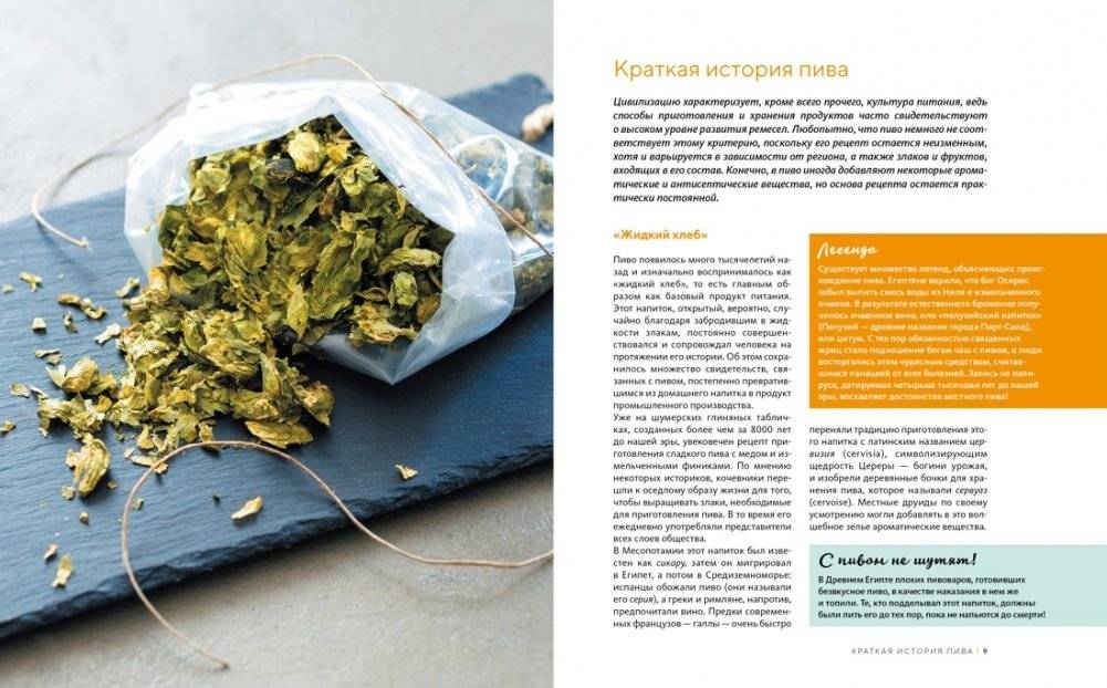 Домашнее пиво: Основные техники приготовления, розлива и хранения фото книги 3
