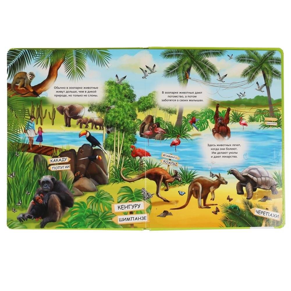 Зоопарк фото книги 3