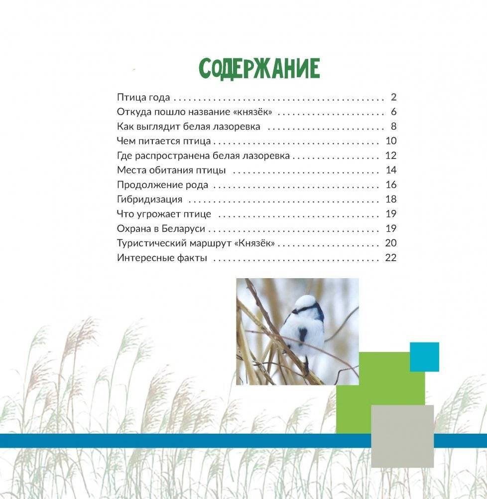 Птица года Беларуси. Белая лазоревка фото книги 8
