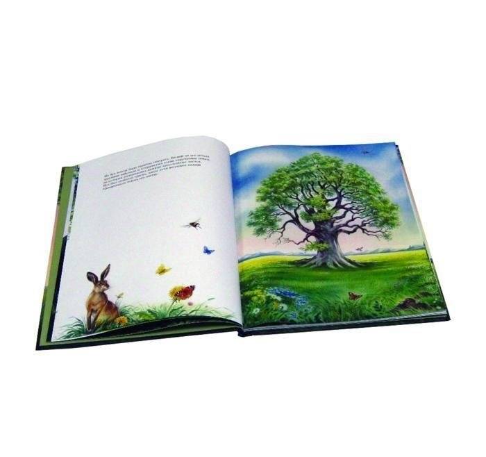 Маленькая березка фото книги 4