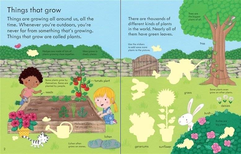 My First Book About How Things Grow фото книги 2