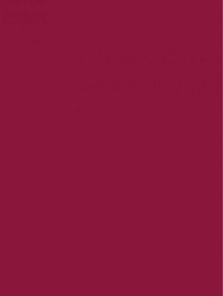 Про Федота-стрельца, удалого молодца. Издание с иллюстрациями фото книги 4