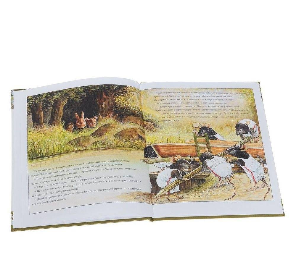 Регата Лисьего Леса фото книги 2