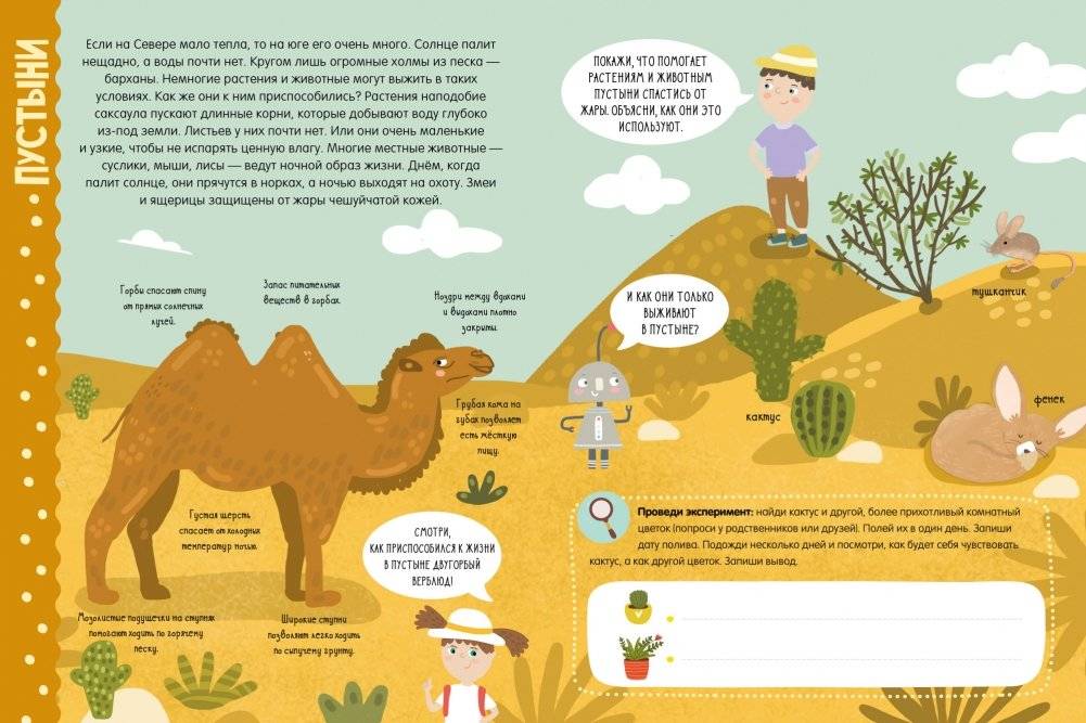 Секреты планеты Земля. Факты, задания, эксперименты фото книги 5