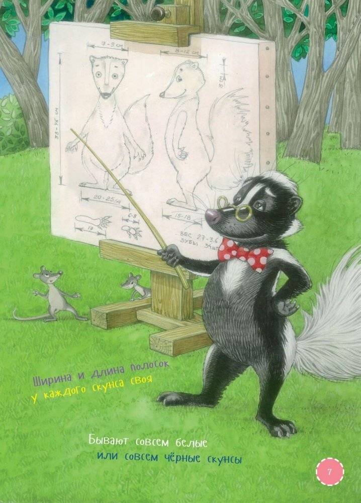 Я скунс фото книги 7