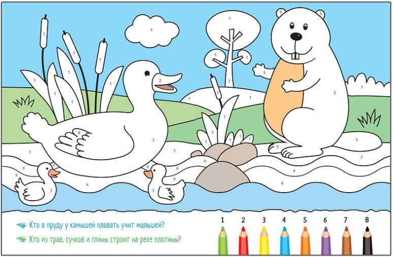 Комплект из 4-х книг. Раскрашиваем по цифрам фото книги 9