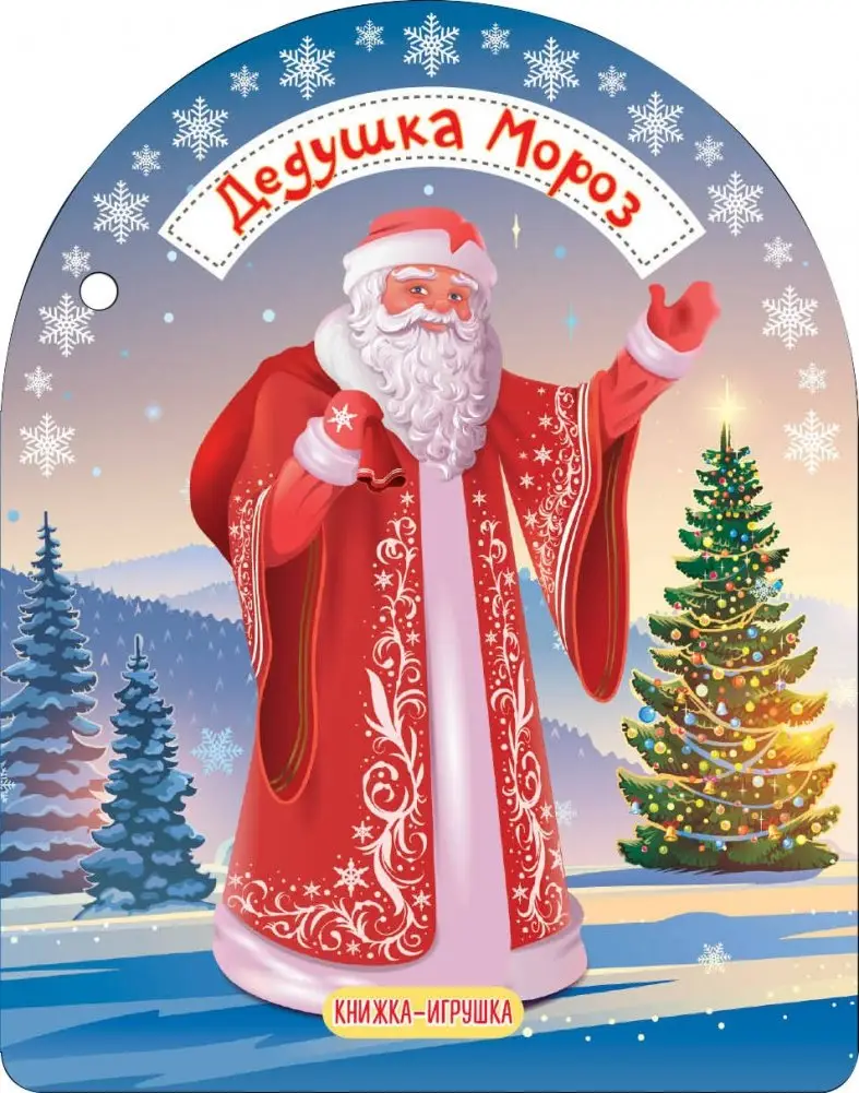 Дедушка Мороз и Снегурочка фото книги