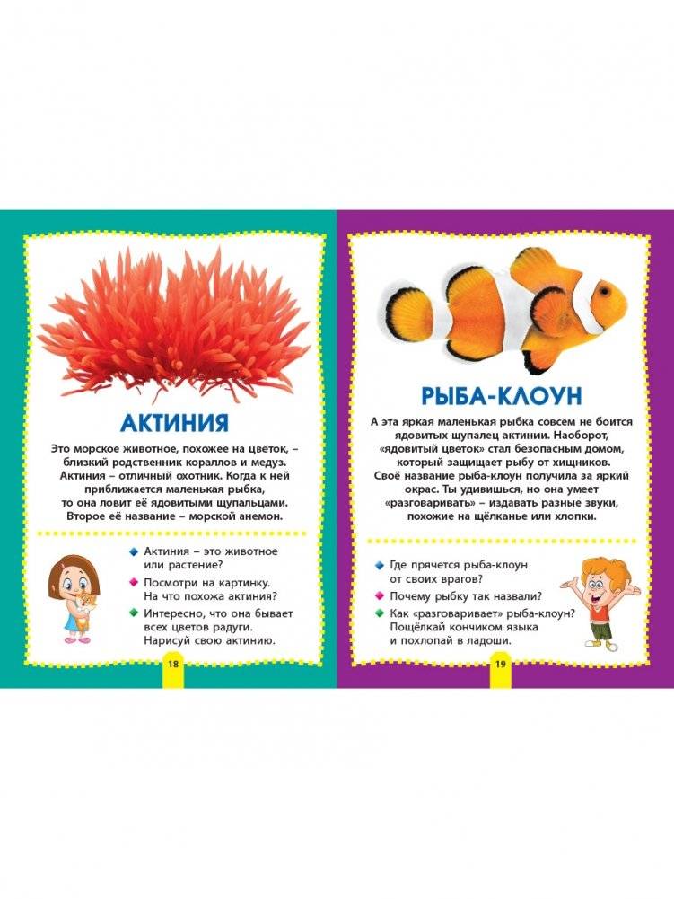 Морские обитатели. Фотокнига для самых маленьких фото книги 6