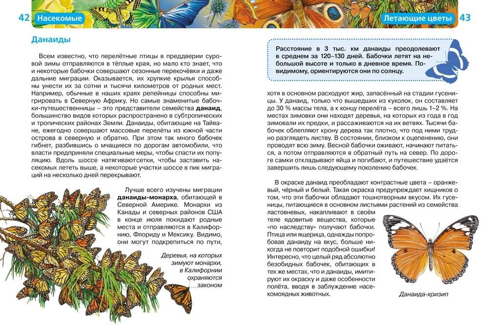 Насекомые фото книги 2