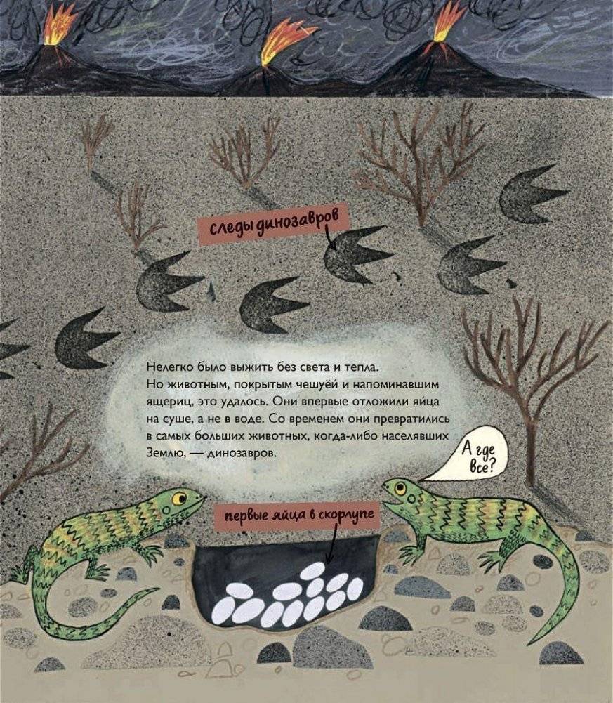 История жизни. Моя первая книга об эволюции фото книги 3