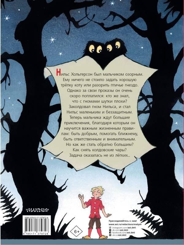 Чудесное путешествие Нильса с дикими гусями фото книги 2