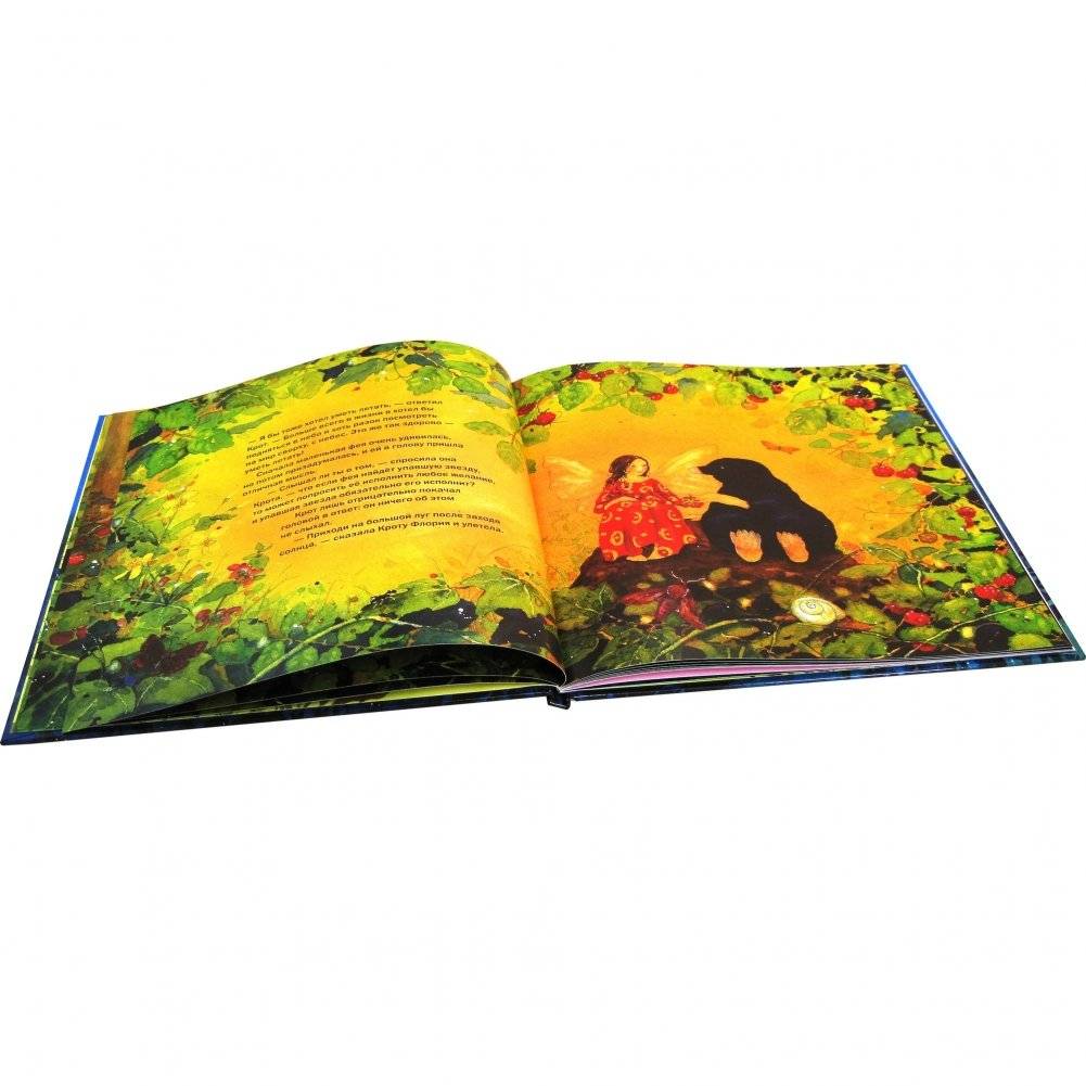 Маленькая фея загадывает желание фото книги 8