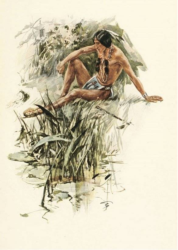 Песня о Гайавате. Желание их сердец фото книги 6