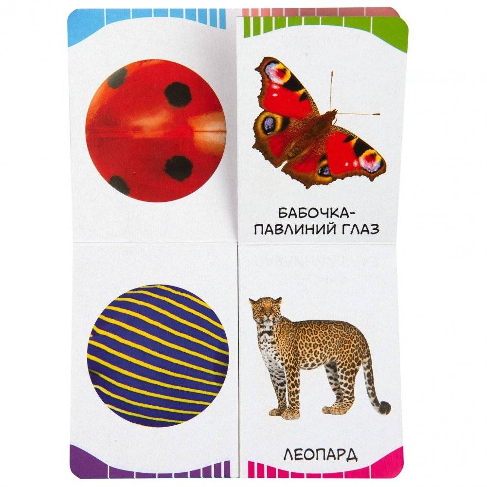 Пятнышки-полоски фото книги 3