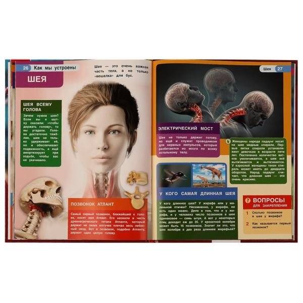 Тело человека. Как мы устроены. Энциклопедия фото книги 4