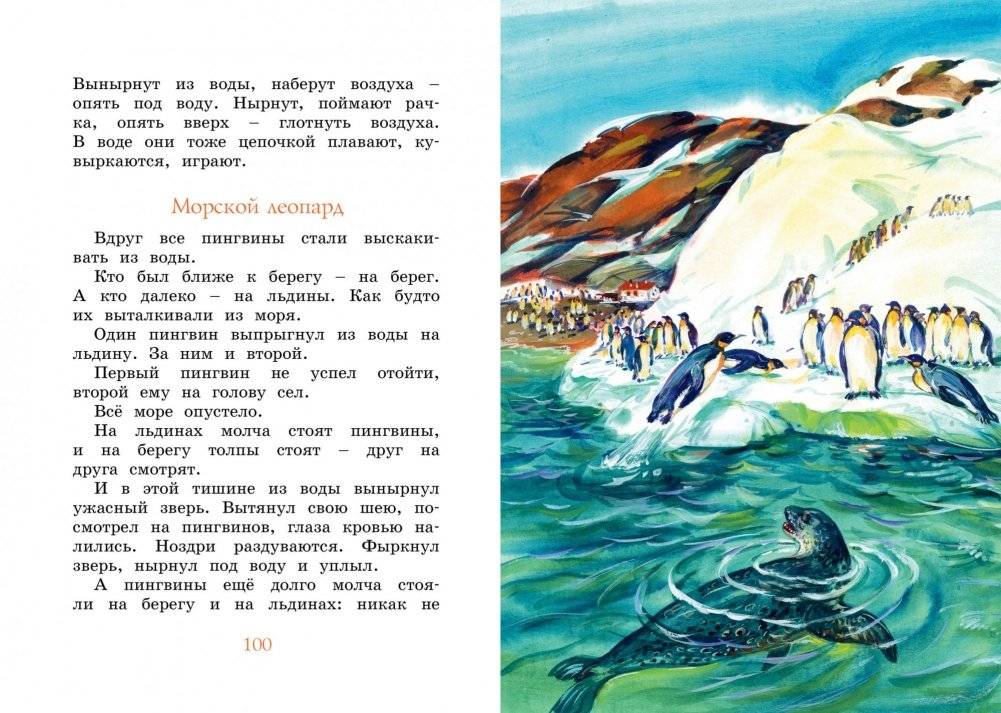 Беспокойный хвостик фото книги 2