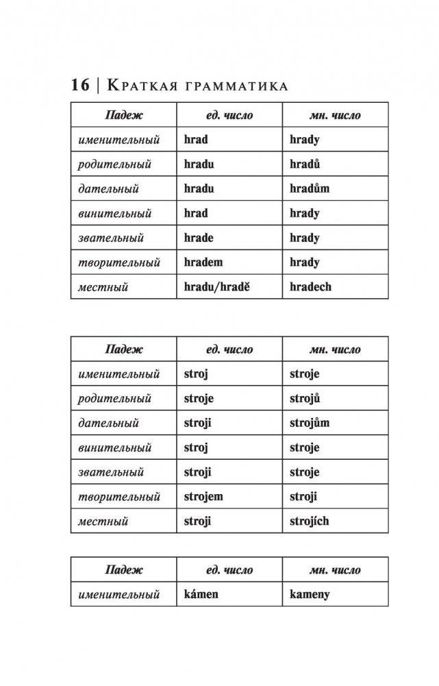 Чешский язык. 4-в-1: грамматика, разговорник, чешско-русский словарь, русско-чешский словарь фото книги 16