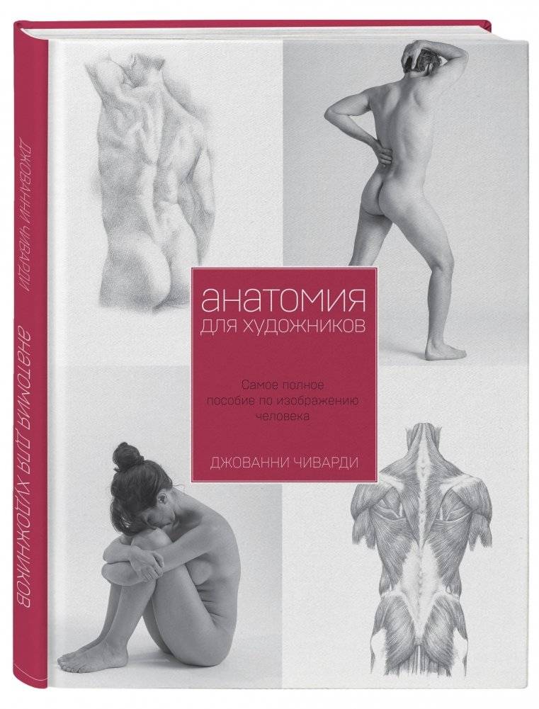 Анатомия для художников. Самое полное пособие по изображению человека фото книги 2