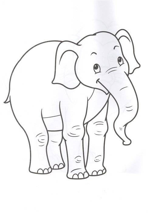 Раскраска. Зоопарк фото книги 3