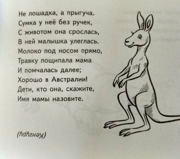 Загадки о животных фото книги 3