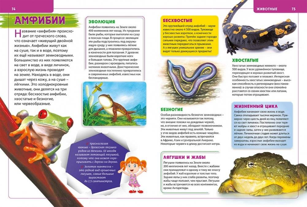 Детская энциклопедия. Лучший подарок для будущих отличников фото книги 5