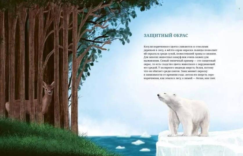 Животные-невидимки. Чудеса маскировки в дикой природе фото книги 2