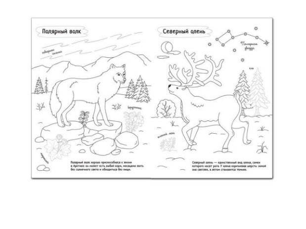 Раскрась Россию. Арктика фото книги 4