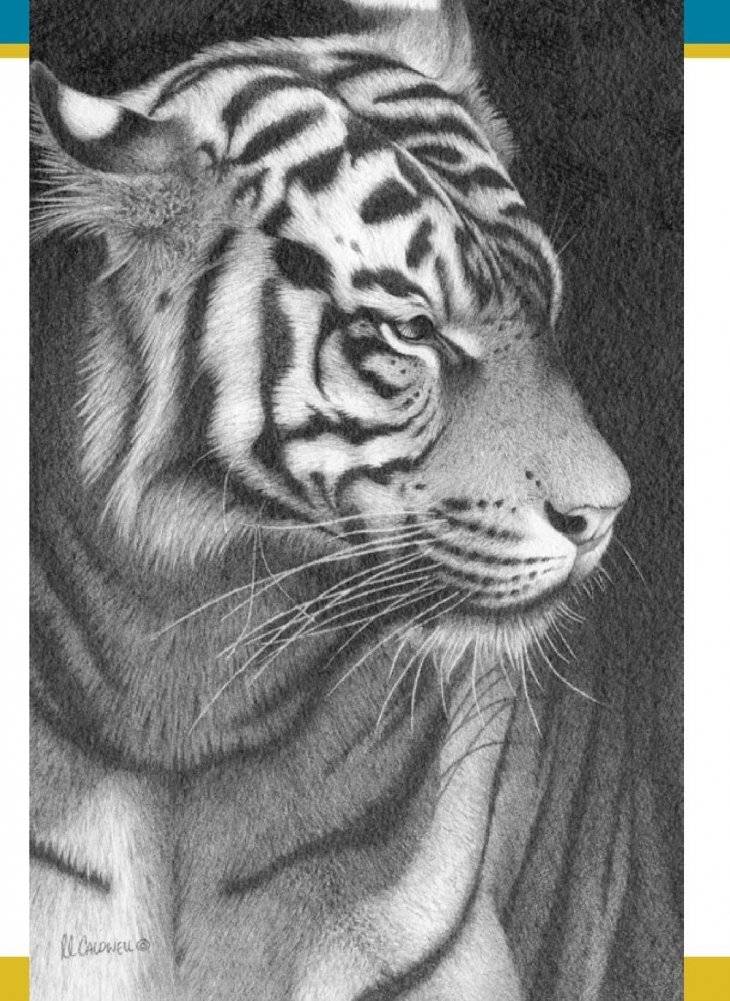 Реалистичные рисунки животных. Дикие звери, домашние питомцы и другие представители фауны фото книги 5