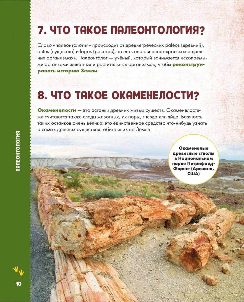 Динозавры фото книги 11