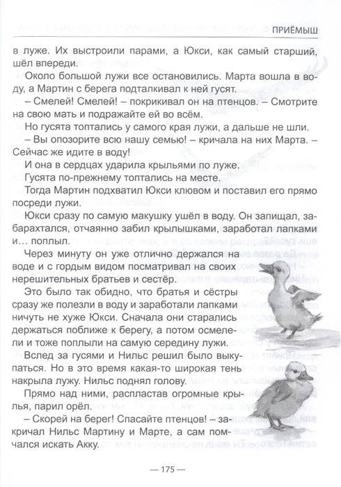 Чудесное путешествие Нильса с дикими гусями фото книги 5