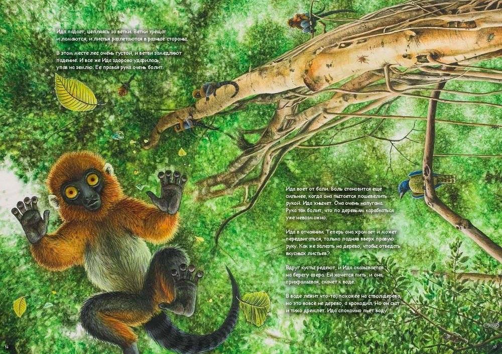 Ида. Взгляд из прошлого фото книги 2