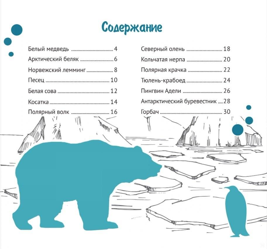 За полярным кругом. Серия "Планета животных" фото книги 2