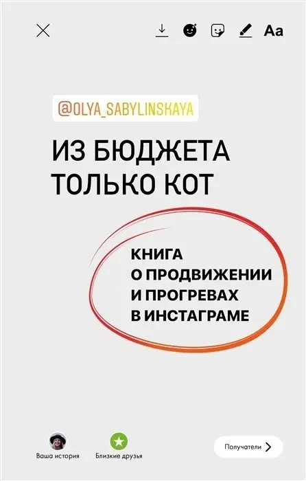 Из бюджета только кот. Книга о продвижении и прогревах в инстаграме фото книги