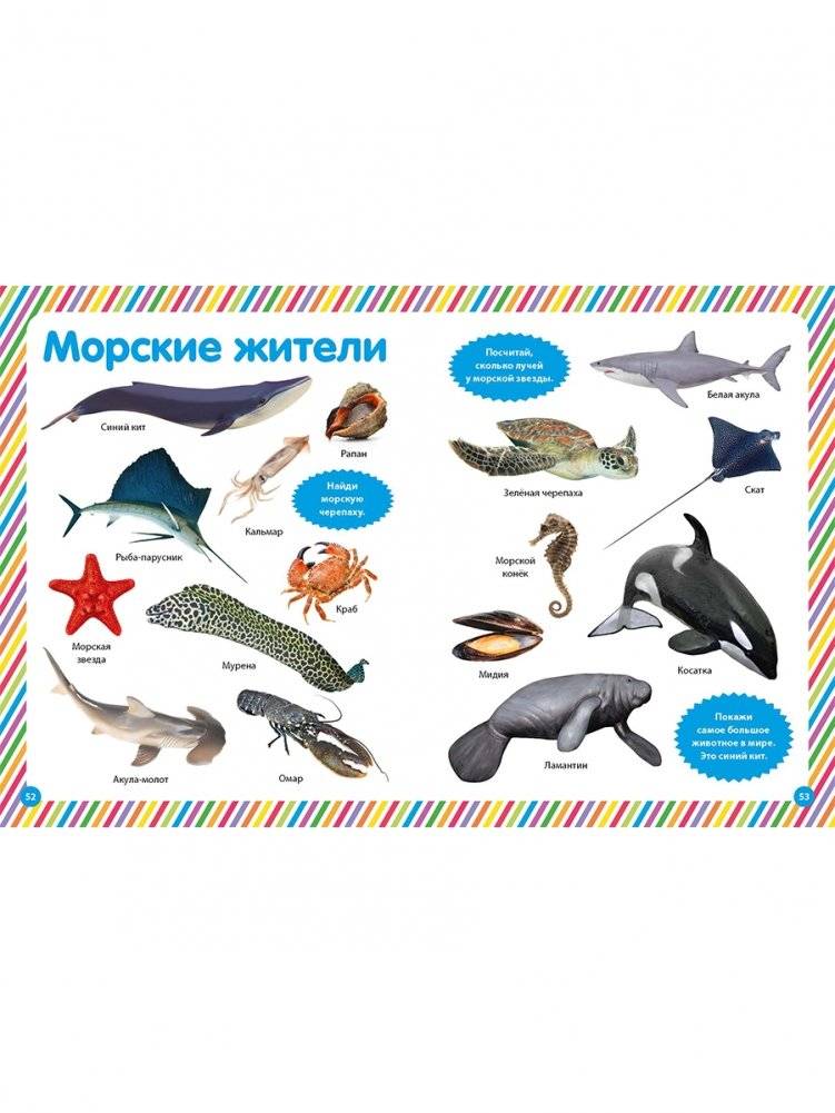 Фотокнига для малышей. Животный мир фото книги 10