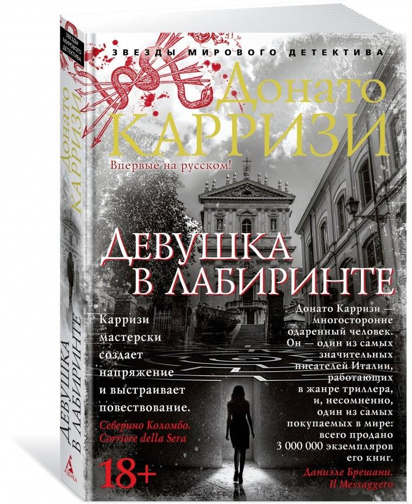 Девушка в лабиринте фото книги 2