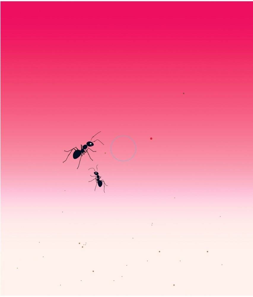 Что за овощ? фото книги 3