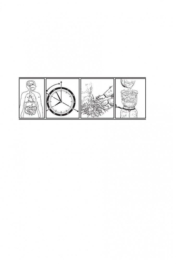 Выживание в дикой природе и экстремальных ситуациях. 100 ключевых навыков по методике спецслужб фото книги 2