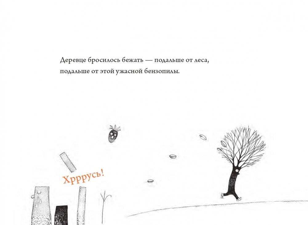 Чудесный сад фото книги 6