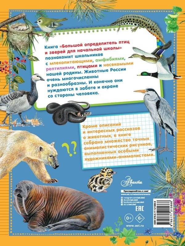 Большой определитель птиц и зверей для начальной школы фото книги 2