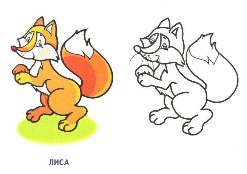 Раскраска. Дикие животные фото книги 2