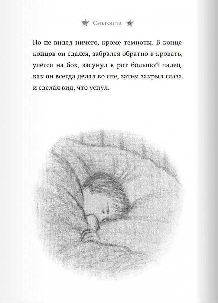 Снеговик фото книги 5